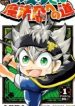 asta-s-journey-to-wizard-king.jpg